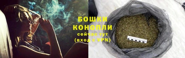 гидра Осташков