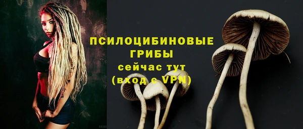 хмурый Остров