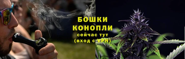 PSILOCYBIN Белоозёрский