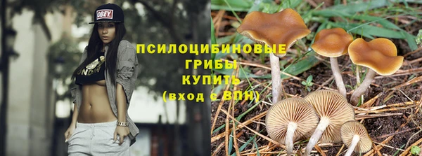 каннабис Няндома